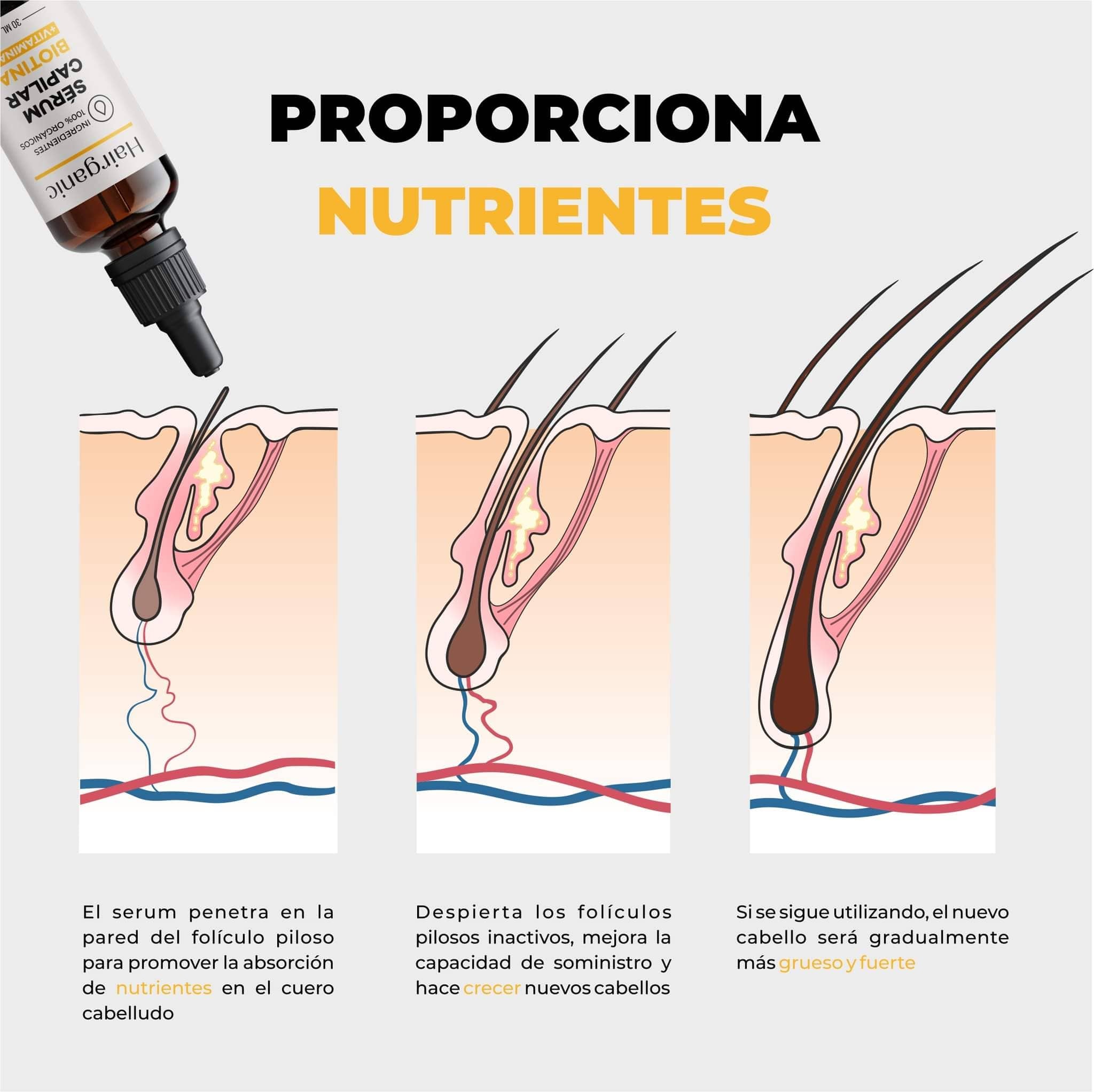 Sérum para Crecimiento Capilar Hairganic