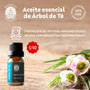 Aceite esencial de Árbol de Té - 10ml