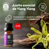 Aceite esencial de Ylang Ylang - 10ml